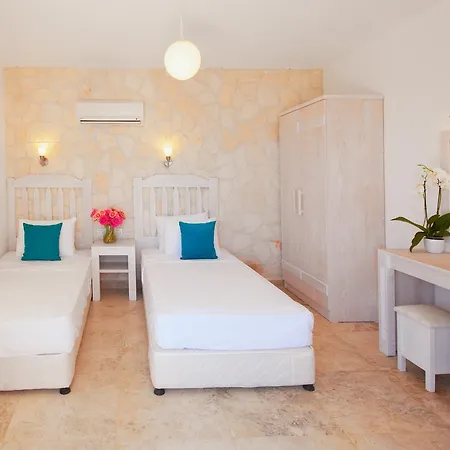 Villa Safir *